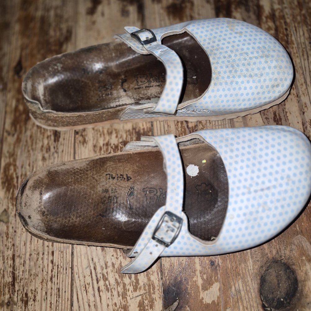 Blue Polka Dot Women's Mules